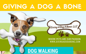 Giving a Dog a Bone Infographic